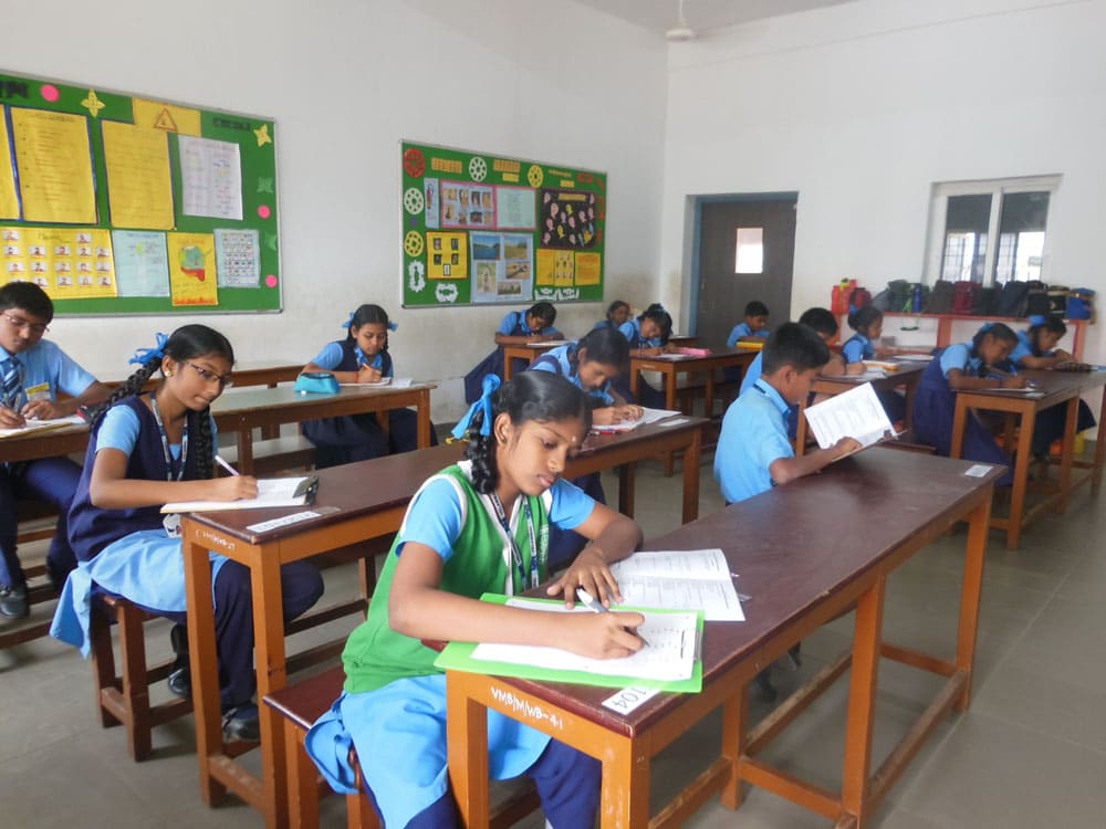 HB Experience – Humming Bird Education